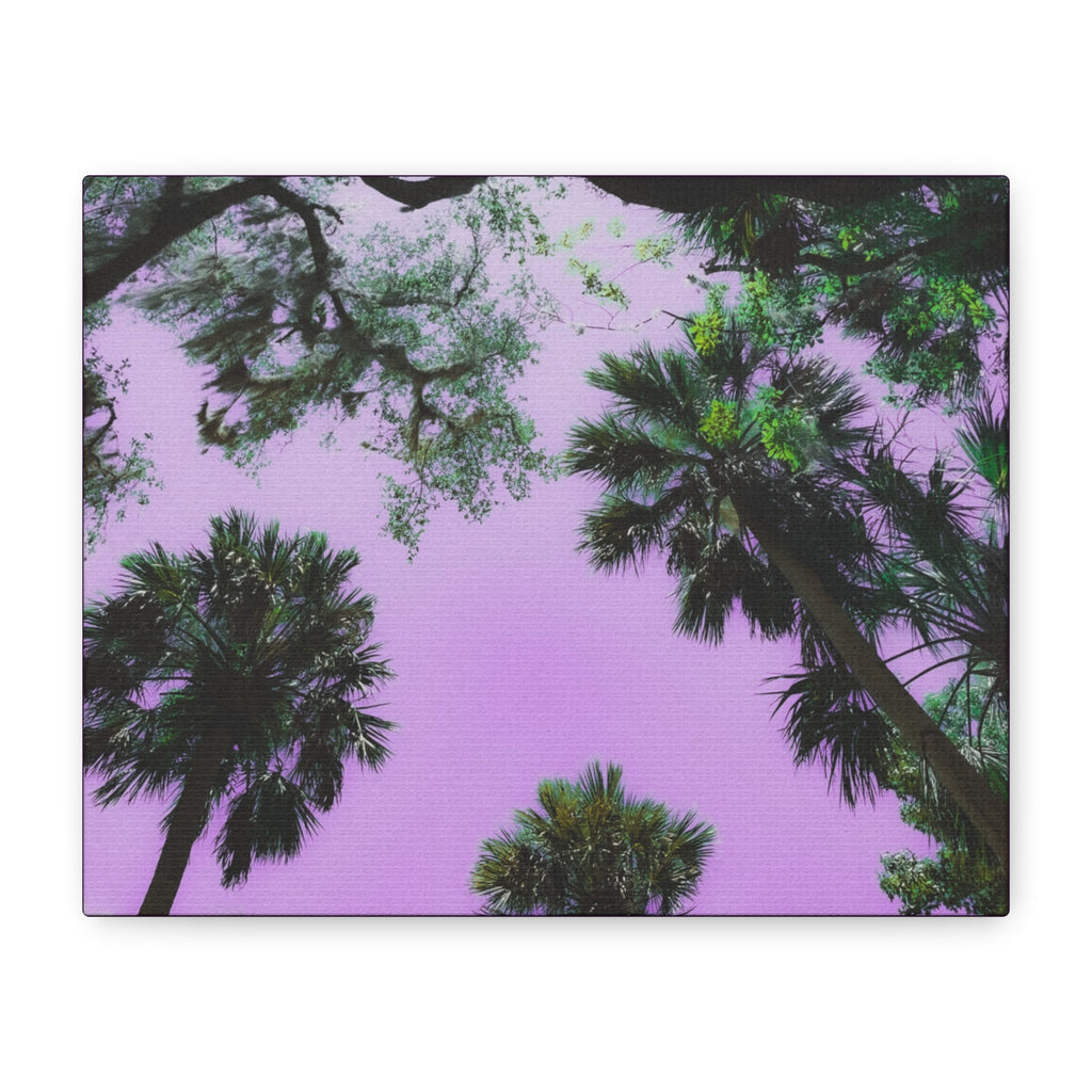 Matte Canvas, Stretched, 1.25"