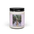 Scented Soy Candle, 9oz