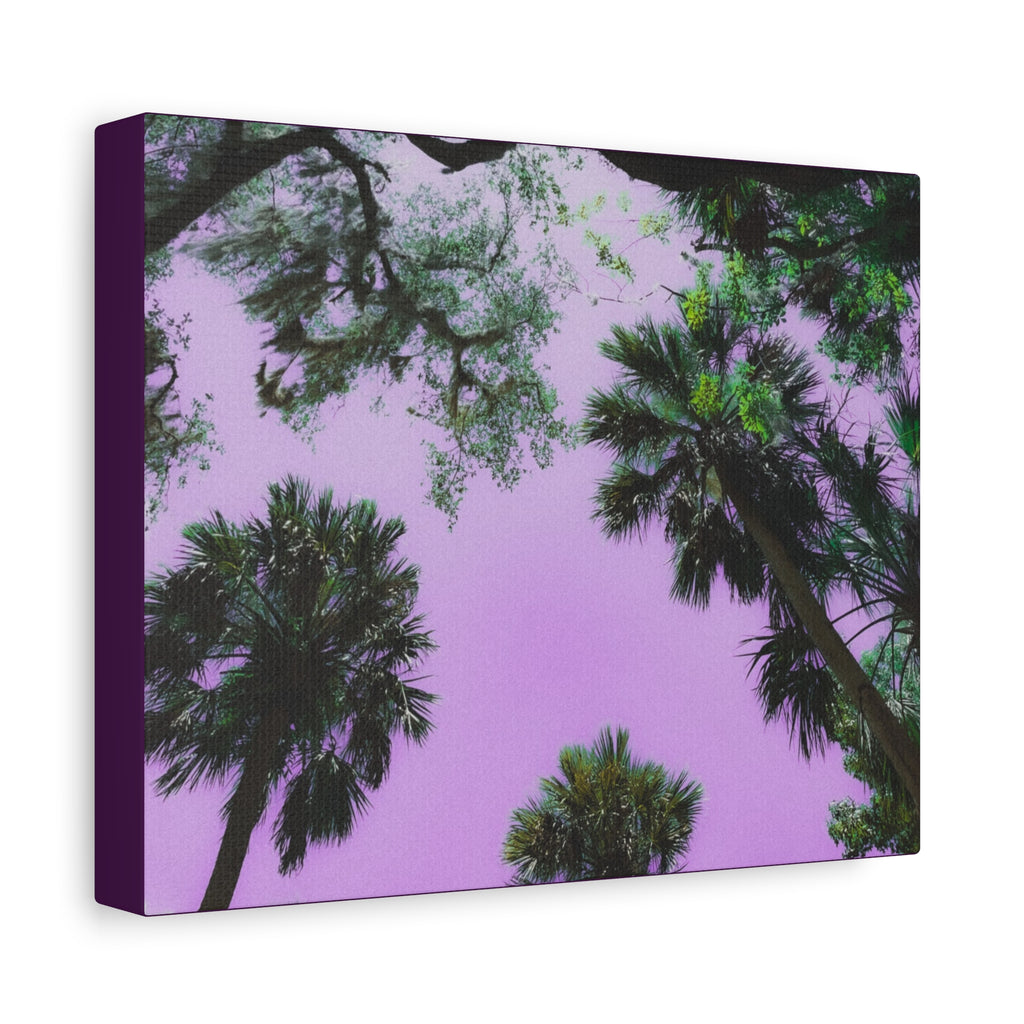 Matte Canvas, Stretched, 1.25"